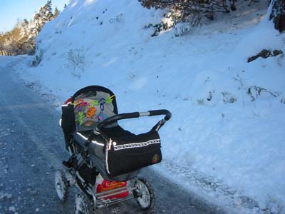 S&aring; mycket sn&ouml; det kom p&aring; en dag! 