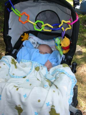 Jag ligger och myser i vagnen. 