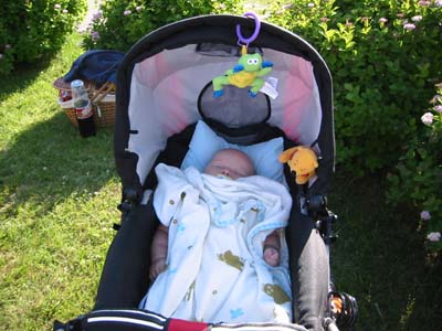 Jag ligger och sover i vagnen