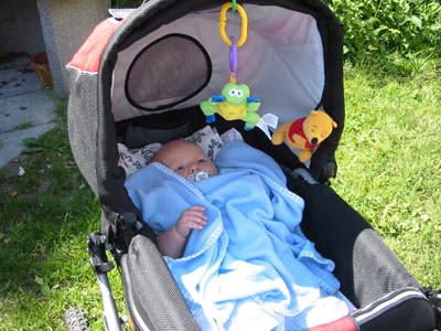 Grodan &auml;r bra s&ouml;t. 